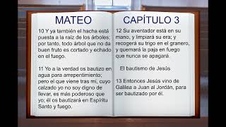 LA BIBLIA HABLADA quot SAN MATEO quot COMPLETO NUEVO TESTAMENTO [upl. by Megen]