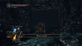 Dark Souls 2 Illusory Wall Locations  Sinners Rise [upl. by Barton]