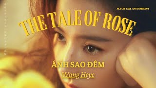 Vietsub Ánh sao đêm  Wang Heye  Câu chuyện hoa hồng OST The Tale of Rose  Lyrics video [upl. by Mellisa]