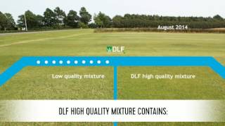 DLF high quality mixture compared to low quality mixture [upl. by Tterrab]