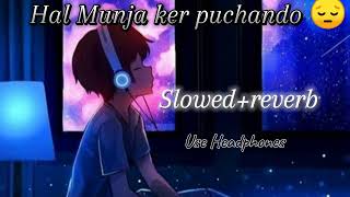 Hal Munja ker puchando 😔💔  slowedreverb Sindhi song slowedreverb sindhi lofimusic viral [upl. by Anhej]