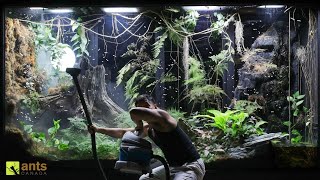 Flying Fire Ant Queens Broke Into My Giant Rainforest Vivarium [upl. by Thatcher]