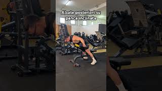 Alzate posteriori su panca inclinata shoulderworkout gymexercises gymworkout gym bodybuilding [upl. by Ydnys439]