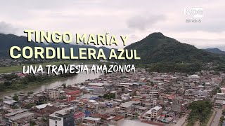 Reportaje al Perú Tingo María y Cordillera Azul 10122023  TVPerú [upl. by Amlev]