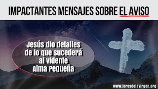 Impactantes Mensajes sobre el Aviso Jesús dio detalles de lo que sucederá al vidente Alma Pequeña [upl. by Boggers]