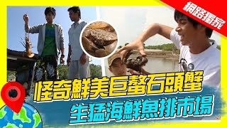 【世界海鮮展】越南怪奇鮮美巨螯石頭蟹 划碗公船逛生猛海鮮魚排市場｜《世界第一等》濃縮精華版 世界該去哪 [upl. by Nnyleimaj924]