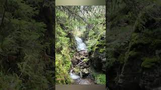 shorts WER KENNT DIESE KLAMM shortvideo hiking thueringen klamm thueringerwald [upl. by Noryd46]