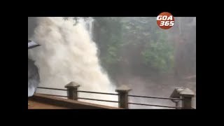 Harvalem waterfall back in action but locals question till how long [upl. by Jaimie]