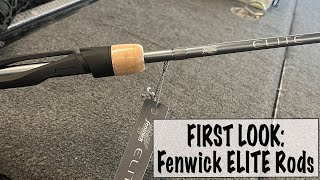 FIRST LOOK Fenwick ELITE Rods [upl. by Camellia499]