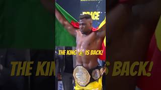 Francis Ngannou KOs Ferreira Highlights mma shorts francisngannou mmafighter [upl. by Florrie]