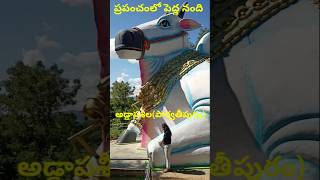 ప్రపంచంలో పెద్ద నందిపార్వతీపురంshorts educationviralshorts [upl. by Thomasa396]