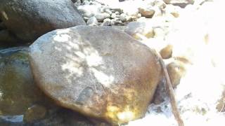 Navigating up Little Cottonwood Canyon Tenkara Fly Fishing [upl. by Bentlee]