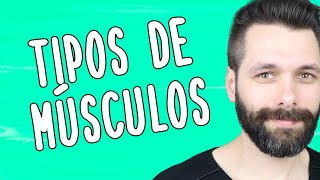 TIPOS DE MÚSCULOS  Resumo de Tecido Muscular  Biologia com Samuel Cunha [upl. by Hsihsa877]