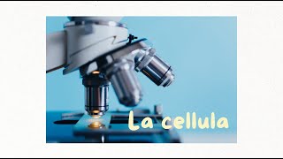 BIOLOGIA la cellula [upl. by Setarcos]