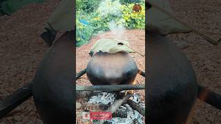 Pot Chicken food chicken potchicken recipe [upl. by Meehar879]