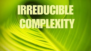 Irreducible Complexity [upl. by Hiroshi]