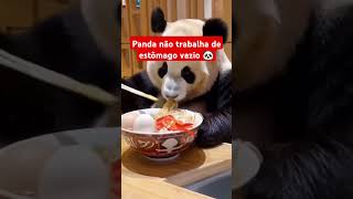 Comida boa e estômago cheio Aí o dia fica mais feliz 🐼😃🖤🤍 comida shopee mestrepanda [upl. by Timmie700]