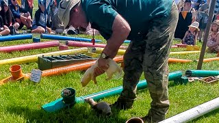 Ferret Racing in Sherborne Dorset  The Grand Final Race of the Day [upl. by Ydnec]