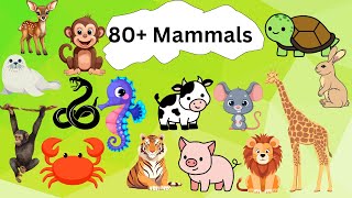 80Mammals Animals Kids Learning Poem Some Animals Poem Song for kids Nursery Rhymes [upl. by Schuster]