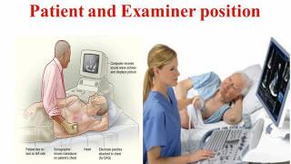 basics of echocardiography dr ahmed gaber emara [upl. by Lenette]