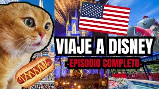 VIAJE A DISNEY  episodio completo meme de gatos [upl. by Melessa287]