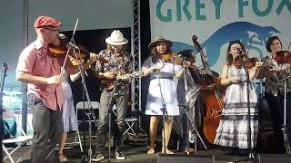 Casey Driessens Red Shoe String Jam  Scotland Bill Monroe cover at Grey Fox Festival [upl. by Stanway782]