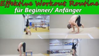 Handstand Workout Routine für BeginnerAnfänger LvL 1  Tutorial Deutsch English subtitles [upl. by Calley426]