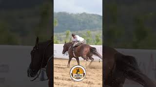 Os tubarões chegou 🦈💪🏽🔥 fy vaquejada cavalo cavalos cavalomarchador vaqueiro [upl. by Gerge]