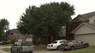 Person wearing Michael Myers Halloween mask seen leaving Houston murder scene neighbors say [upl. by Hurff311]