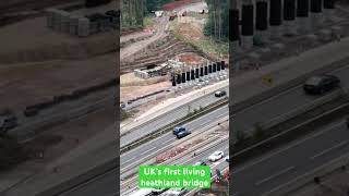 The UK’s first living heathland bridge at Wisley [upl. by Livingston518]