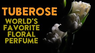 Tuberose The Worlds Most Fragrant Flower Used In Perfumery [upl. by Claire]