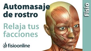 Automasaje de cara o facial  Relaja tus facciones tu cuerpo y tu mente [upl. by Ecirtak986]