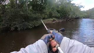 Bass fishing tournament on the Apalachicola River on July 08 2023 [upl. by Dnalram]