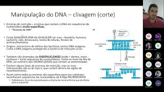 Biotecnologia Aula 4  DNA recombinante [upl. by Artina]