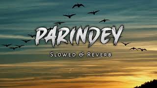 Parindey b praak  gippy grewal PERFECT SLOWED parindeysong [upl. by Daas]