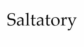 How to Pronounce Saltatory [upl. by Saticilef]