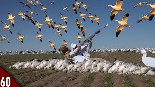 My BEST Snow Goose Hunt YET  Spring Goose Hunting 2022 [upl. by Ainet902]