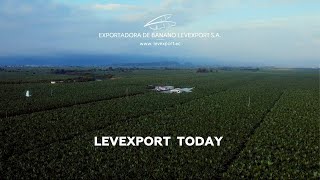 LEVEXPORT TODAY [upl. by Wiese]