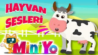 Hayvan Sesleri Şarkısı  Eğlenceli Miniyo Şarkıları [upl. by Ttevi]