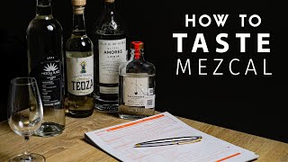 Tasting Mezcal Like a Pro [upl. by Hawkie]