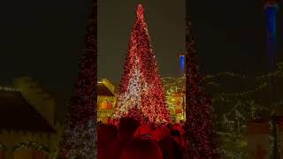 Winterfest Christmas Tree Lighting at Canada’s Wonderland xmastree [upl. by Greenfield]