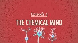 The Chemical Mind Crash Course Psychology 3 [upl. by Aserat]