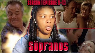 The Sopranos Season 1  Marathon REACTION  FINAL [upl. by Aikaj325]