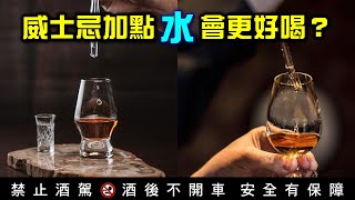 【一個人的品酒會】EP34 威士忌加一點水會更好喝？ [upl. by Earahs179]