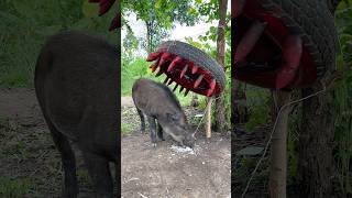 Creative Unique Wild Pig Trap That Work 100 wildanimal camping trapping [upl. by Jacky649]