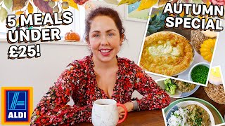 5 Meals For UNDER £25 From Aldi  The BEST Autumn Meals On A Budget  Family Meals From Aldi [upl. by Gentry]