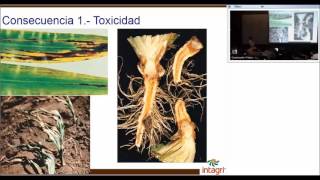 Cursos de Fertilidad de Suelos quotEl Nitrogenoquot [upl. by Adniroc]