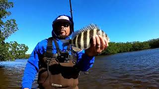 Targeting Sheepshead with light spinning tackle [upl. by Ettena]