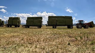 A Busy Day In The Hay FieldsHaulingRakingBaling [upl. by Adnamal]