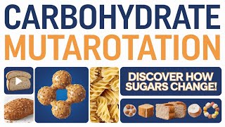 Biomolecule class XI 5 carbohydrate  mutarotation [upl. by Salman]